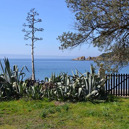 Casa Natura أمولياني المظهر الخارجي الصورة