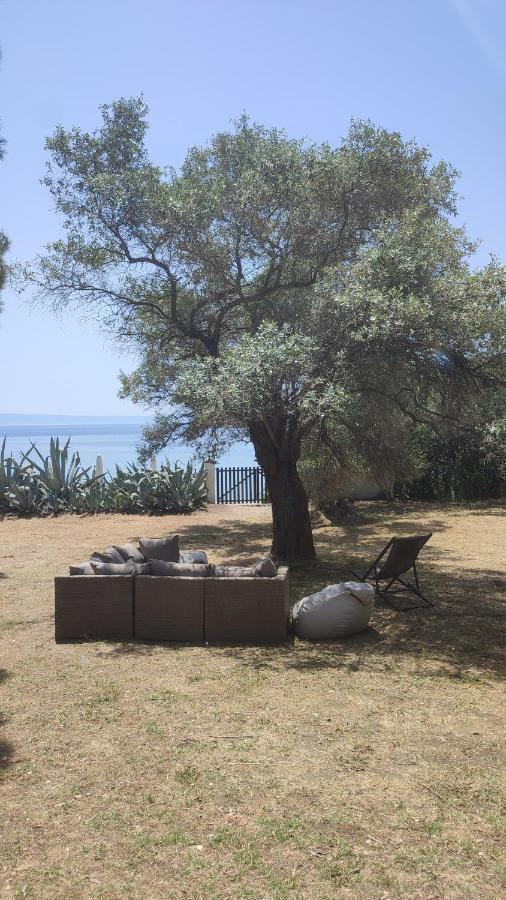 Casa Natura أمولياني المظهر الخارجي الصورة