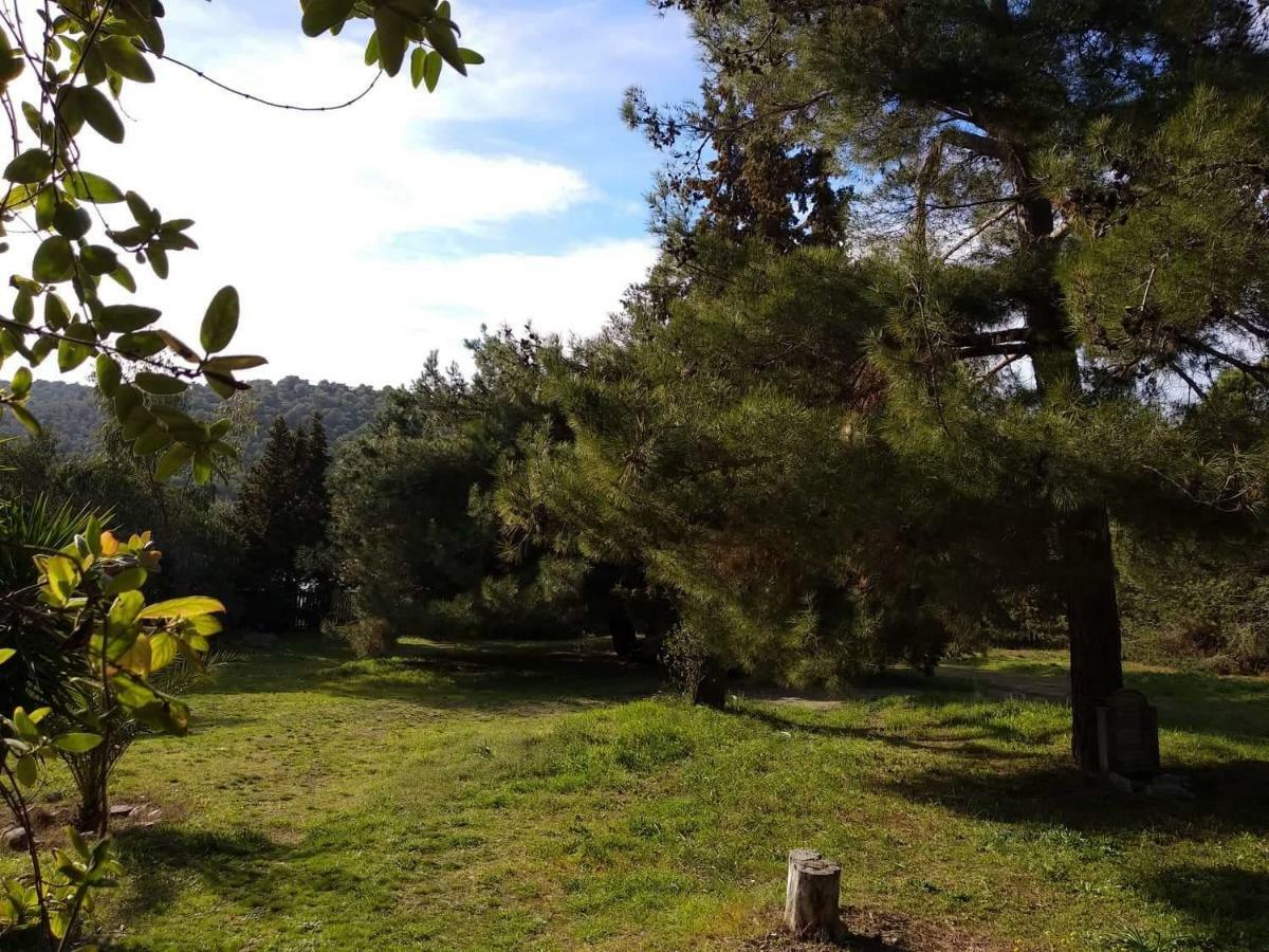 Casa Natura أمولياني المظهر الخارجي الصورة